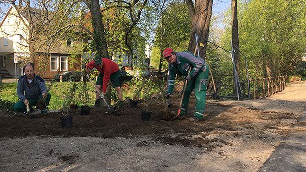 Baden-Baden rüstet sich für den Frühling – Sitzbänke und frisches Grün für Oos