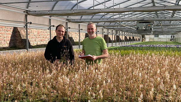 30.000 Gäste in Baden-Baden – Stiefmütterchen, Hornveilchen, Vergissmeinnicht, Akeleien, Goldlack, Bellis, Ranunkeln und Schaumblüten 