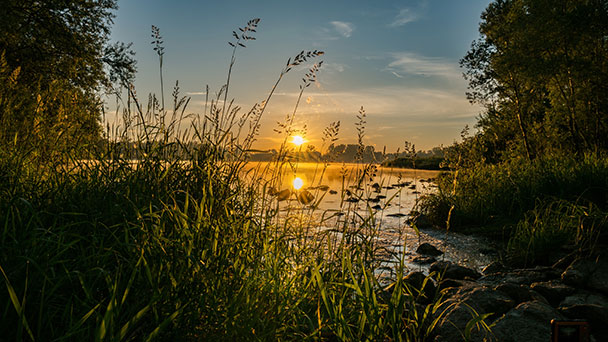 Führung über Sagen, Mythen und Geschichten – Spannende Führung am Rastatter Rhein 