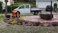 Stadtgärtnerei verleiht Gaggenau ein bunt blühendes Aussehen  