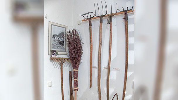 Landwirtschaft in Baden-Baden – Reblandmuseum öffnet am Sonntag Landwirtschaft in Baden-Baden – Reblandmuseum öffnet am Sonntag