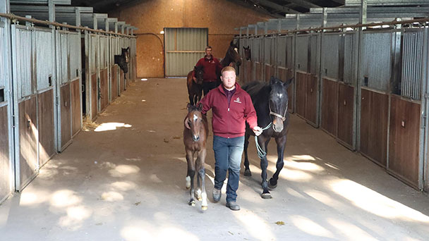 Und bald laufen sie wieder – Baden Galopp veranstaltet Ausbildungsseminar – Spannende Berufe Und bald laufen sie wieder – Baden Galopp veranstaltet Ausbildungsseminar – Spannende Berufe
