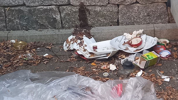 Kein Reinigungskonzept in Baden-Baden – Vermüllung der Moncalieristraße 