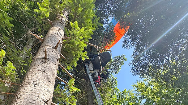 Gleitschirmflieger in Baden-Baden abgestürzt – Schutzengel und Feuerwehr waren zur Stelle 
