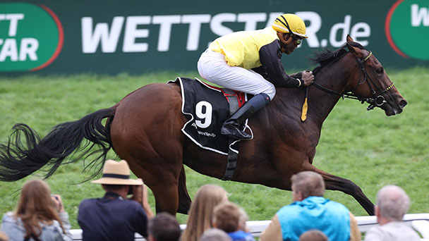 Am Mittwoch wird in Iffezheim ein Star gesucht – Seit 1859 ausgetragenen Prüfung Am Mittwoch wird in Iffezheim ein Star gesucht – Seit 1859 ausgetragenen Prüfung