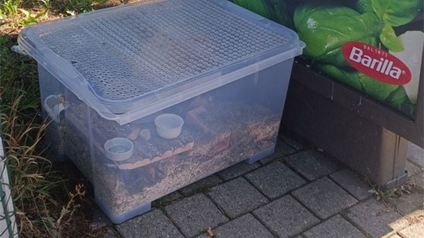 Hamster in Rastatt zum Sterben ausgesetzt – Zeugenaufruf der Polizei mit Foto