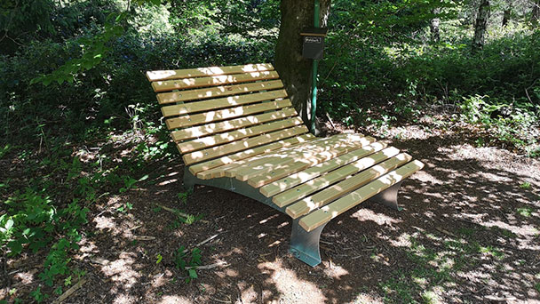 „Himmelsliegen“ im Gaggenauer Stadtwald