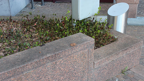 Stadtverwaltung Gaggenau appelliert an Hundehalter – Hundekot auf Rathaustreppe 