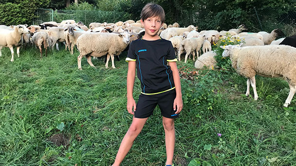 Leserbrief „Meine Meinung“ – Schafherde aus Gehege in Ebersteinburg ausgebrochen – 10-jähriger Louis hat die Schafe gesucht und zusammengetrieben