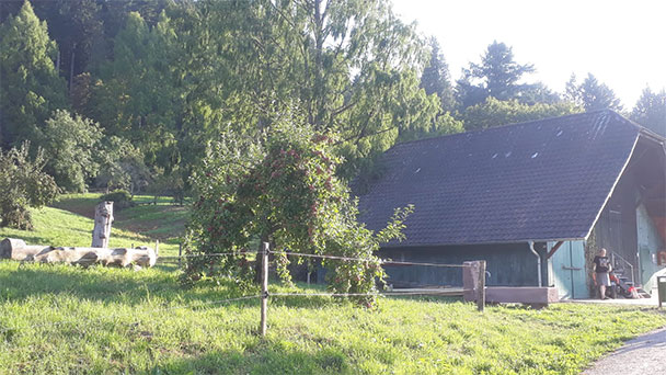 Obstgut Leisberg – Ein großes Glück für Baden-Baden wird gefördert – „Europa ist oft näher als wir denken“