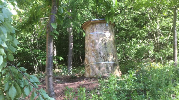 Großer Fichtenstamm für Baden-Badener Bienen – Beobachten wie Honigbienen ein- und ausfliegen Großer Fichtenstamm für Baden-Badener Bienen – Beobachten wie Honigbienen ein- und ausfliegen