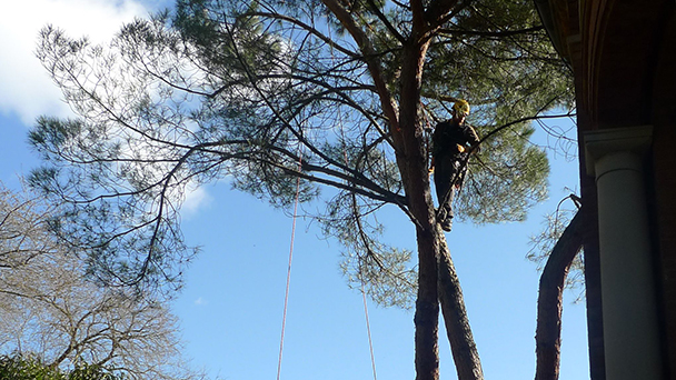 Mediterraner Charme am Florentinerberg – Gartenamt bereitet alles vor Mediterraner Charme am Florentinerberg – Gartenamt bereitet alles vor