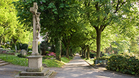 Großes Interesse am Friedhof - Wieder Führung der Stadtverwaltung