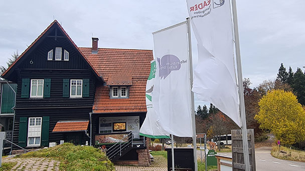 Geld aus Stuttgart für Gernsbach – Land übernimmt Kosten für Trinkwasserleitung zum Kaltenbronn