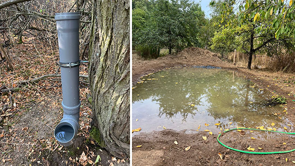 Wildtiere leiden unter Hitze und Trockenheit – Jägerschaft bittet um Hilfe beim Anlegen von Teichen und Biotopen