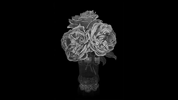 Warum nicht mal wieder ins Stadtmuseum gehen? – Kabinettausstellung „Erinnerung an Baden-Baden“