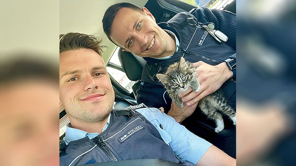 Katzenbaby auf dem Mittelstreifen der Autobahn – Polizei sorgte für glückliches Ende
