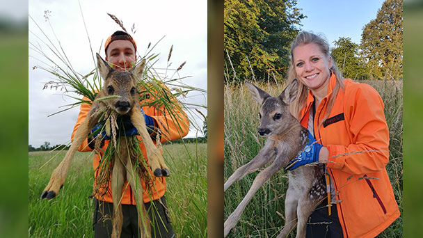 Badische Jäger machen sich beliebt – Mit Drohneneinsatz 300 Rehkitze gerettet – Dank an Helfer und Landwirte