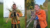 Badische Jäger machen sich beliebt – Mit Drohneneinsatz 300 Rehkitze gerettet – Dank an Helfer und Landwirte