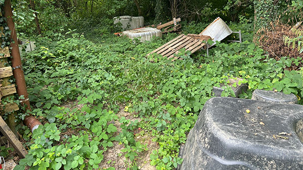 Ungepflegte Wiesen schaden Natur und Tieren – Aufforderung der Stadt Rastatt darf auch in Baden-Baden gehört werden Ungepflegte Wiesen schaden Natur und Tieren – Aufforderung der Stadt Rastatt darf auch in Baden-Baden gehört werden