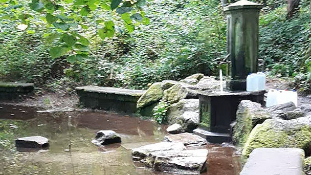 Leserbrief „Meine Meinung“ – „Seit Monaten ist der Abfluss am Ludwigsbrunnen verstopft“ Leserbrief „Meine Meinung“ – „Seit Monaten ist der Abfluss am Ludwigsbrunnen verstopft“