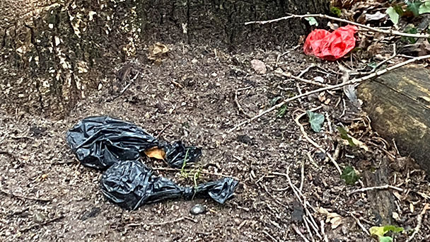 Leserbrief „Meine Meinung“ – „Pappbecher, Dreck und Müll in der Natur – oder da, wo diese nicht liegen sollten“ Leserbrief „Meine Meinung“ – „Pappbecher, Dreck und Müll in der Natur – oder da, wo diese nicht liegen sollten“