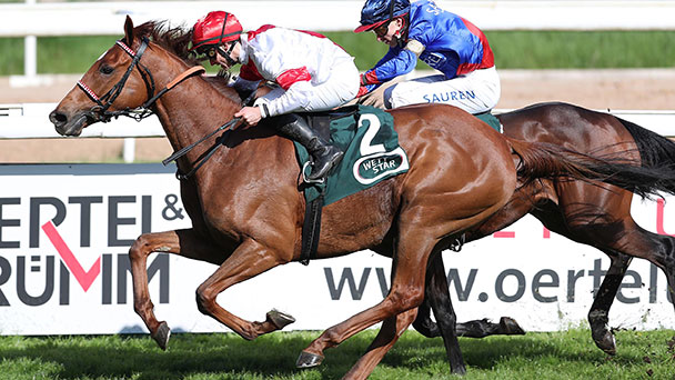 Das große Finale heute und morgen in Iffezheim – Seriensieger Lordano beim Großen Preis der Badischen Wirtschaft – Livestream hier