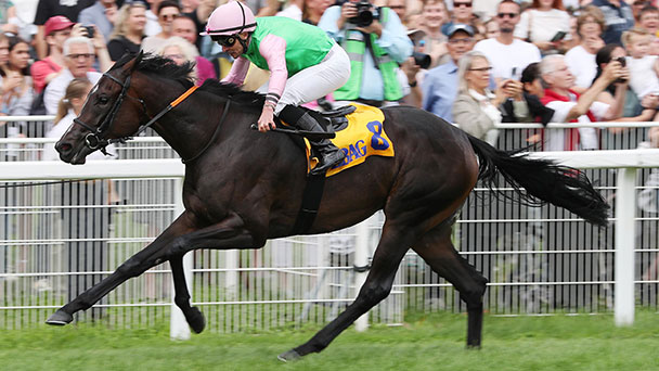 Saisonfinale in Iffezheim – Baden Galopp verspricht „tollen Schlusspunkt der Rennsaison“