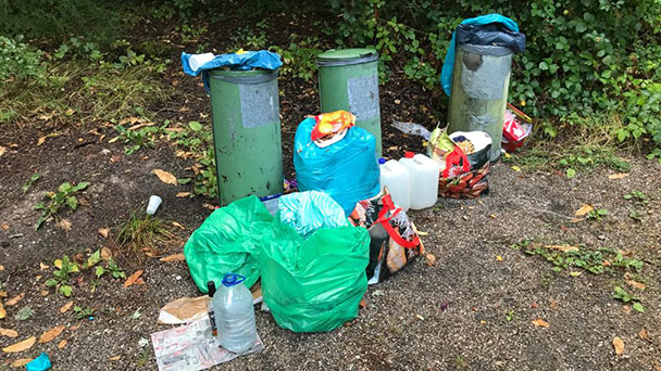 Baden-Badener Stadtverwaltung verärgert – „Frei nach dem Motto: Entsorgen kann das Forstamt“ Baden-Badener Stadtverwaltung verärgert – „Frei nach dem Motto: Entsorgen kann das Forstamt“