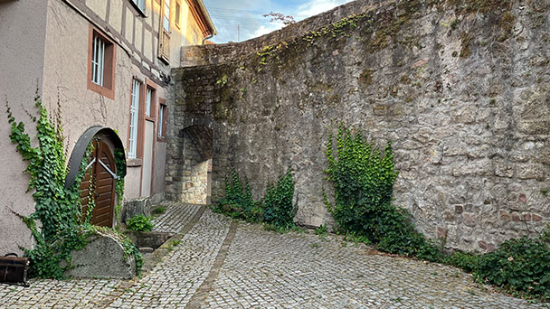 So macht Museum Spaß – Hock und Historischer Stammtisch im Museumshof in Steinbach So macht Museum Spaß – Hock und Historischer Stammtisch im Museumshof in Steinbach