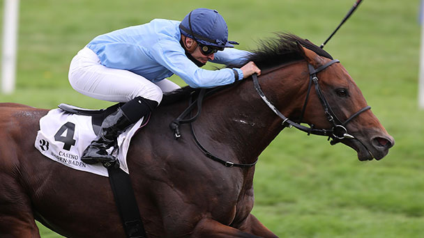 Grandiose Sieger bei Goldener Peitsche – Wladimir Panov über das Siegerpferd Namos: „Heute ist er geflogen“