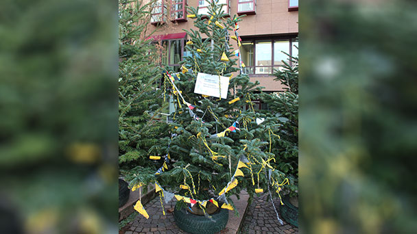 Zweites Leben für Weihnachtsbäume in Gaggenau – Die gute Idee der Narren