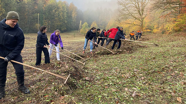 „Im Sommer blühen dort Teufelsabbiss“ – Schüler des Gymnasiums Hohenbaden helfen beim Naturschutz
