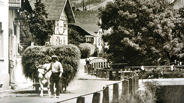 Museums-Geheimtipp in Baden-Baden – Sonderausstellung 725 Jahre Neuweier 