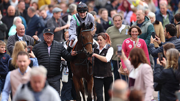 Beharrliche Arbeit von Baden Galopp erfolgreich – Über 11.000 Zuschauer in Iffezheim – 800.000 Euro Wettumsatz Beharrliche Arbeit von Baden Galopp erfolgreich – Über 11.000 Zuschauer in Iffezheim – 800.000 Euro Wettumsatz