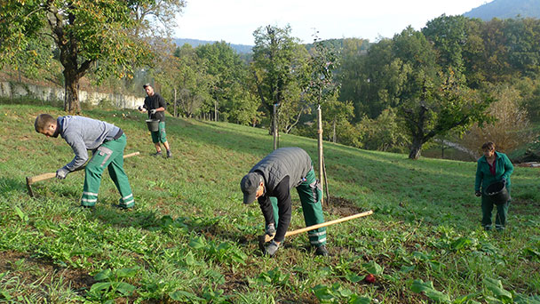 Flower Power in Baden-Baden - 66.000 Blumenzwiebeln verschönern die Stadt