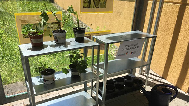 So etwas gibt es auch – Pflanzentauschbörse im Mehrgenerationenhaus