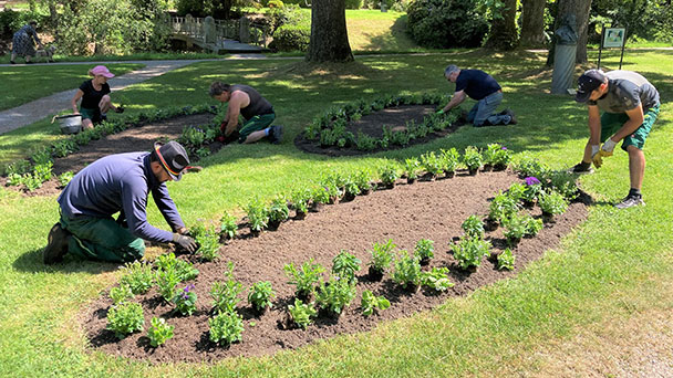 Es grünt so grün in Baden-Baden – Abschluss der Sommer-Bepflanzungen des Gartenamts