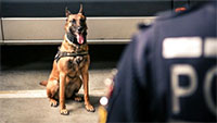 Polizeihund Milow in Oppenau als Spürnase gefeiert – „Bogenmann“ erzählte der Polizei Einzelheiten seiner Flucht 