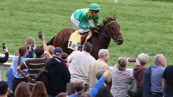 Nochmals Pferderennen in Baden-Baden-Iffezheim – Saisonabschluss mit 650.000 Euro Preisgeldern und Züchterprämien beim Sales & Racing Festival