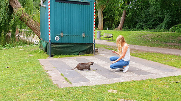 Mit Stadtrallye-App „Actionbound“ Rastatt entdecken