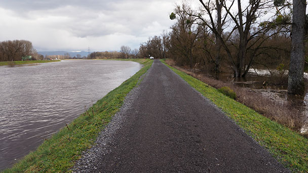 Hochwasser-Maßnahmen vom Rhein bis zur Murg – Bodenerkundungen bei Plittersdorf