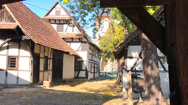 Mit Wasserbauer und Tulla-Spezialist Rainer Boos ins Riedmuseum - Letzte Führung vor Saisonende