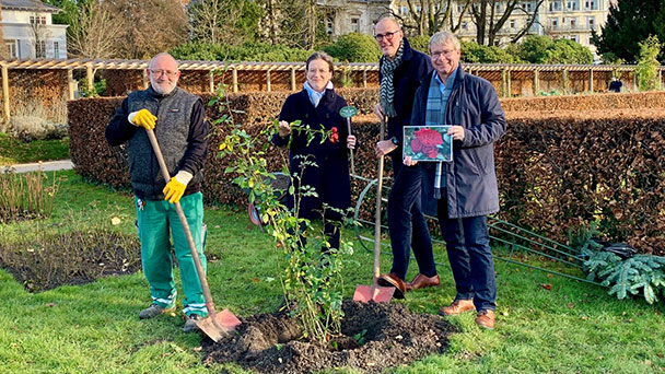 Rose für Star-Dirigent Yannick Nézet-Séguin in Baden-Baden – Benedikt Stampa und Marcus Brunsing gärtnern in der Gönneranlage