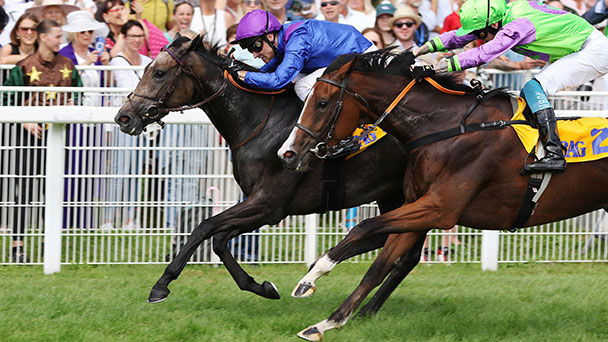 Erfolgreicher Start in Iffezheim – „50.000 Euro-Zahltag“ für Sarah Steinberg