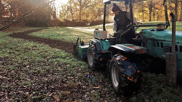 Gaggenau bereitet sich schon auf Frühling vor – Wildblumen und Kräuter im Kurpark Bad Rotenfels Gaggenau bereitet sich schon auf Frühling vor – Wildblumen und Kräuter im Kurpark Bad Rotenfels