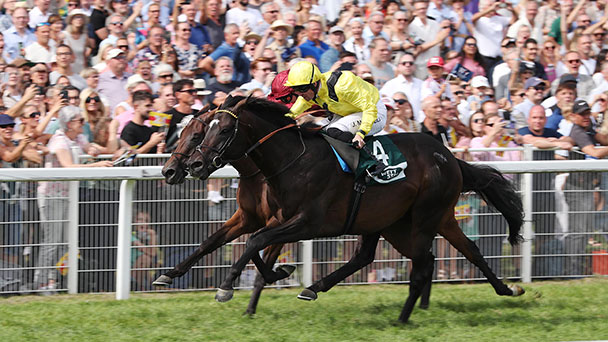 Scheich Ahmed al Maktoum konnte in Baden-Baden jubeln – Sieg im Großen Preis von Baden