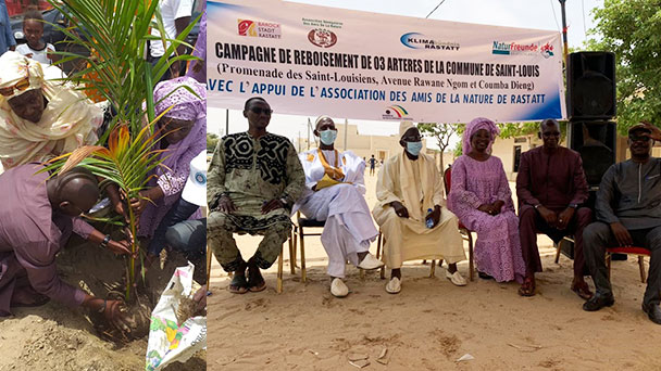 Klimapartnerschaft: Stadt Rastatt plant weitere Klimaprojekte in Saint-Louis – „Begrünung der Innenstädte“