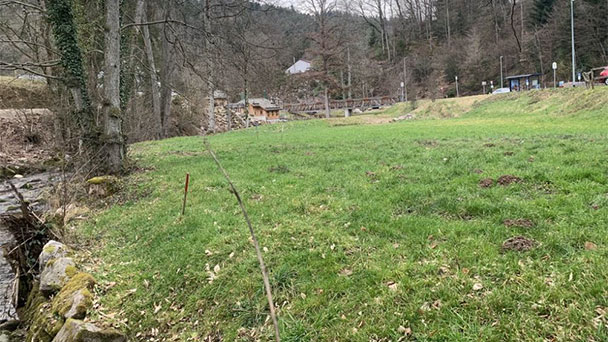 Stadtrat Schmoll mahnt Bürgermeister Uhlig – Bau weiterer Parkplätze bei Geroldsauer Mühle „Bankrotterklärung auch unserer eigenen kommunalen Verkehrspolitik“