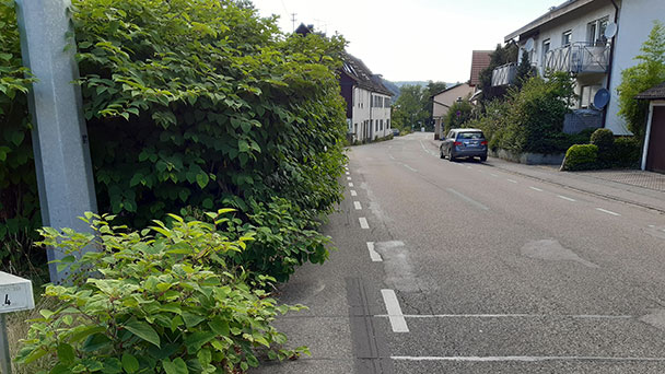 Fahrradstadt Baden-Baden mit Tücken – „Stadtradeln“-Aktion nicht für alle Bürger ein Vergnügen